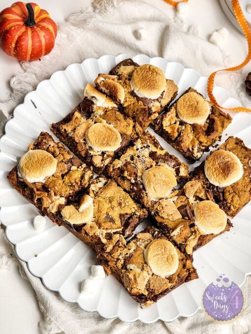Smores Pumpkin Bars on White - Image 3
