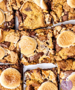 Smores Pumpkin Bars on White