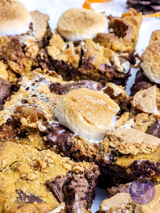 Smores Pumpkin Bars on White - Image 5