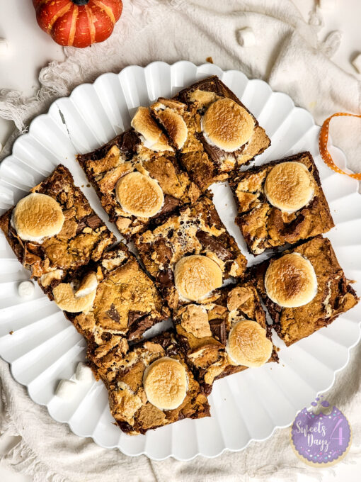Smores Pumpkin Bars on White - Image 8