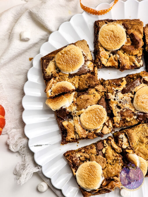 Smores Pumpkin Bars on White - Image 9