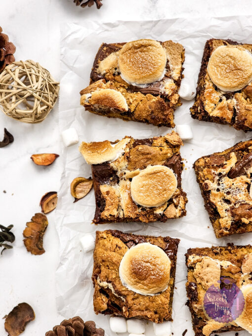 Smores Pumpkin Bars on Marble - Image 6