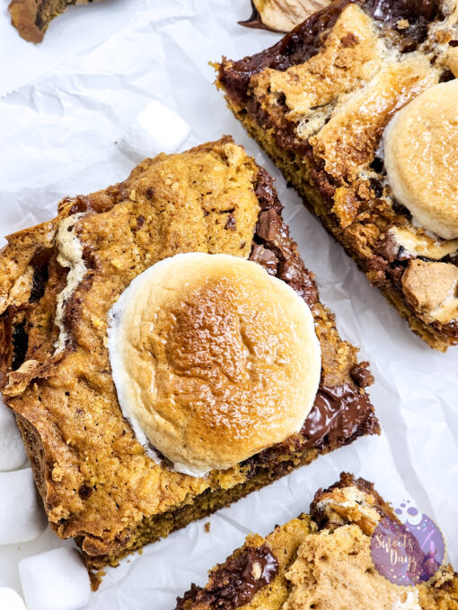 Smores Pumpkin Bars on Marble - Image 7