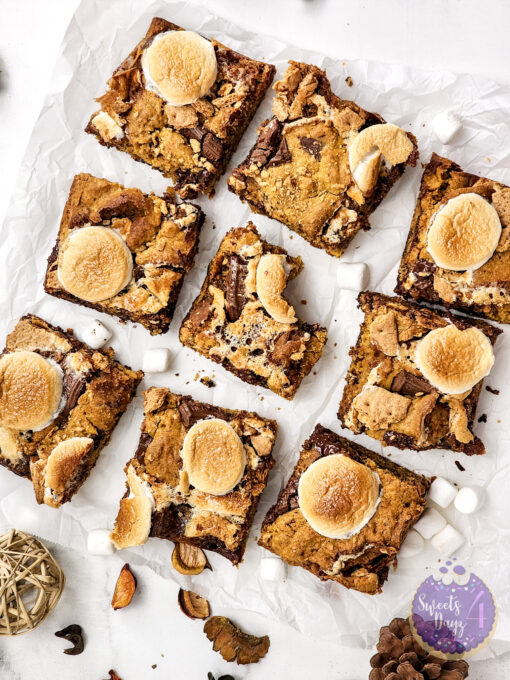 Smores Pumpkin Bars on Marble - Image 8