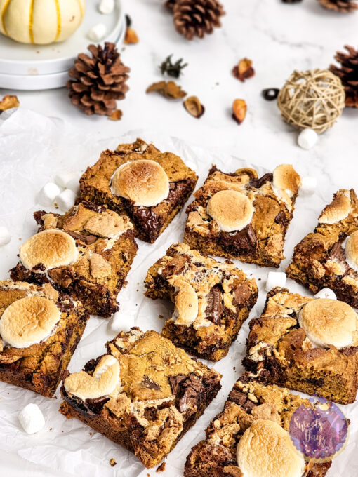 Smores Pumpkin Bars on Marble - Image 9