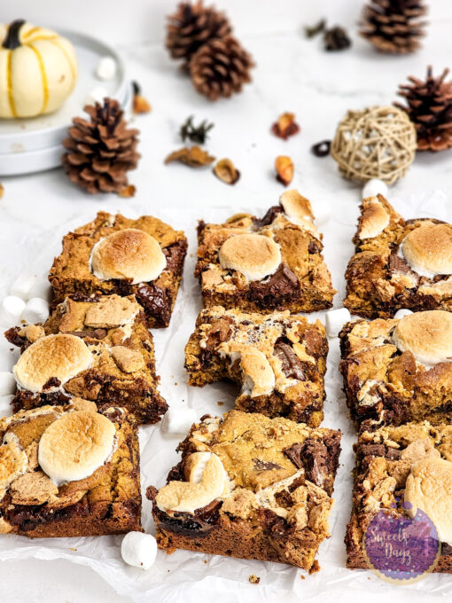 Smores Pumpkin Bars on Marble - Image 10