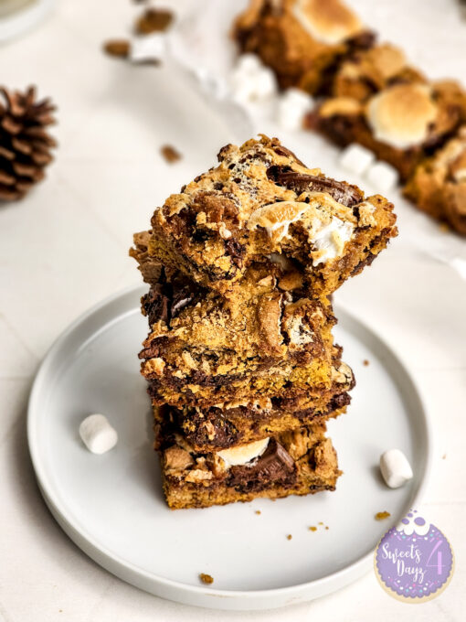 Smores Pumpkin Bars on Rhombus - Image 3