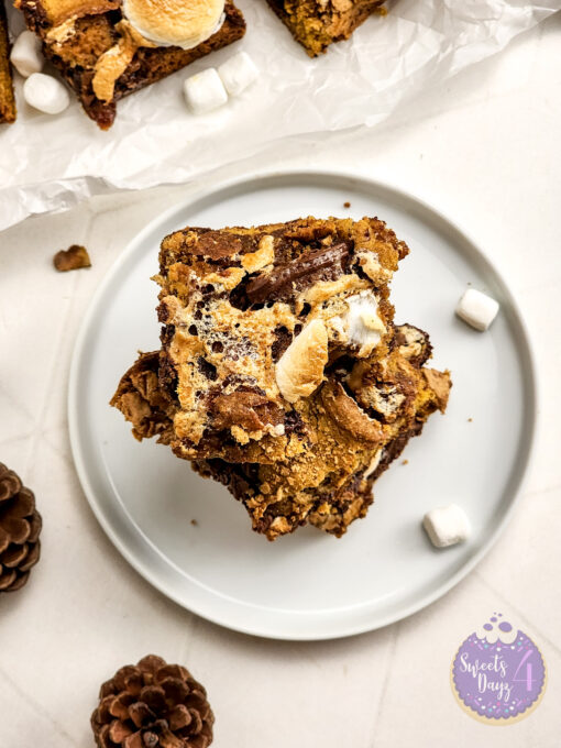 Smores Pumpkin Bars on Rhombus - Image 5