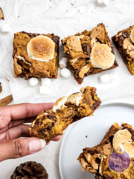 Smores Pumpkin Bars on Rhombus - Image 6
