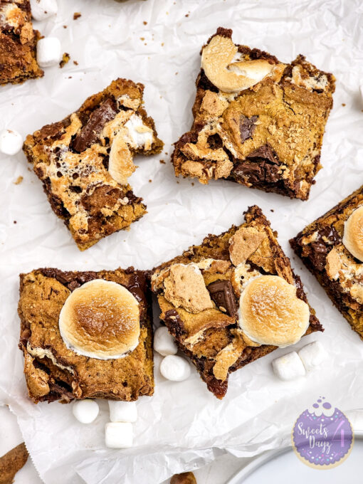 Smores Pumpkin Bars on Rhombus - Image 7