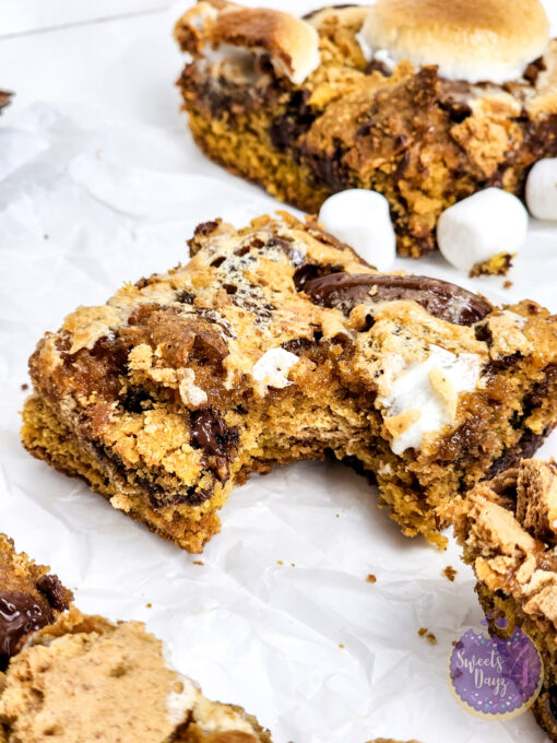 Smores Pumpkin Bars on Rhombus - Image 8