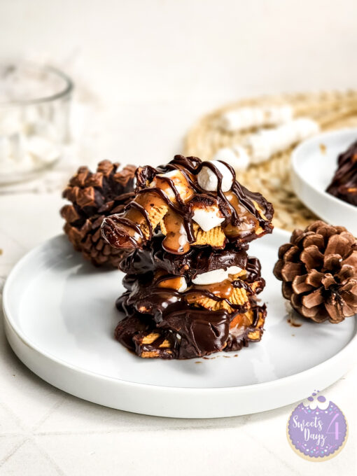 Smores Caramel Clusters on Rhombus - Image 2