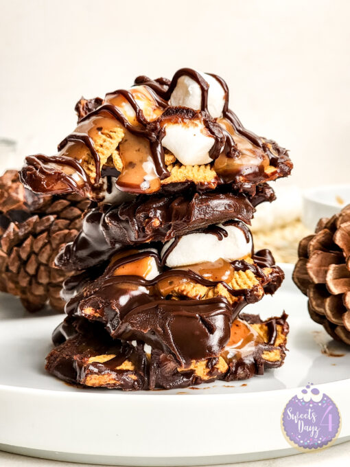 Smores Caramel Clusters on Rhombus - Image 3