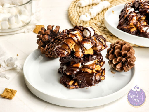 Smores Caramel Clusters on Rhombus - Image 4